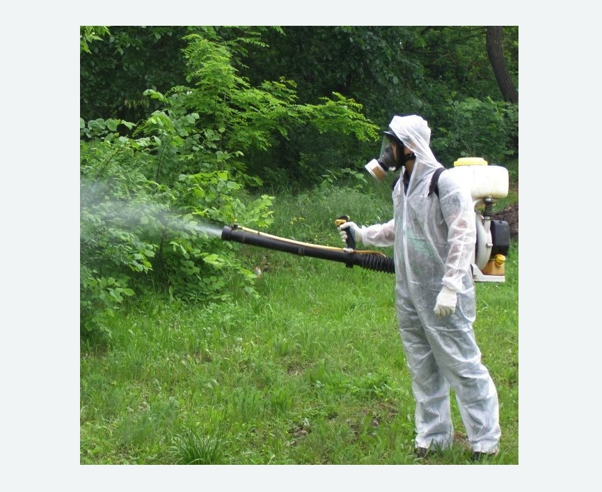 обработка территории от клещей в Черепаново