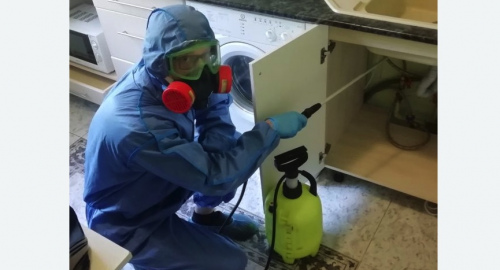 Уничтожение муравьев в квартире. Черепаново