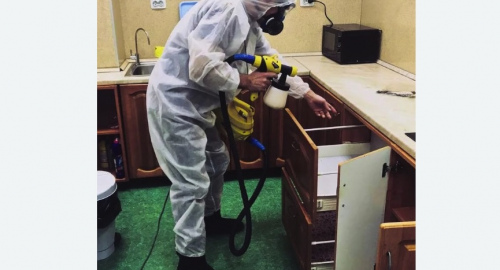 Уничтожение насекомых в квартире. Черепаново