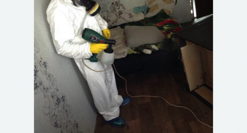 Дезинсекция помещения в Черепаново