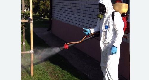 Уничтожение клещей на участке в Черепаново