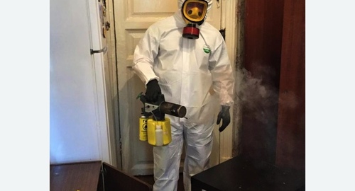 Дезинфекция от муравьев в квартире в Черепаново