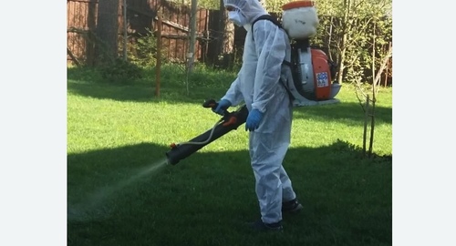 Обработка участка от клещей в Черепаново