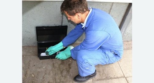 Уничтожение мышей в квартире в Черепаново