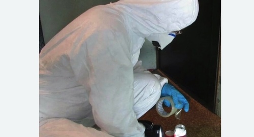 Обработка от мышей на даче. Черепаново