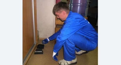 Обработка от крыс в Черепаново