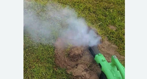 Обработка от кротов в Черепаново