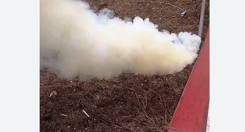 Уничтожение кротов на участке в Черепаново