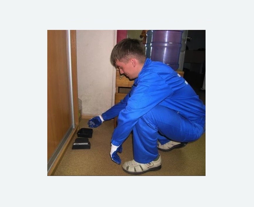 Дератизация крыс в Черепаново