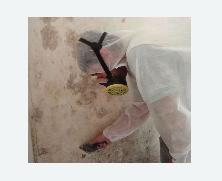 Обработка стен от плесени в Черепаново