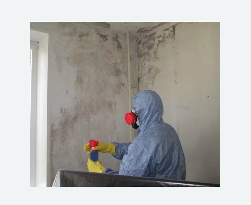 Удаление плесени в квартире в Черепаново