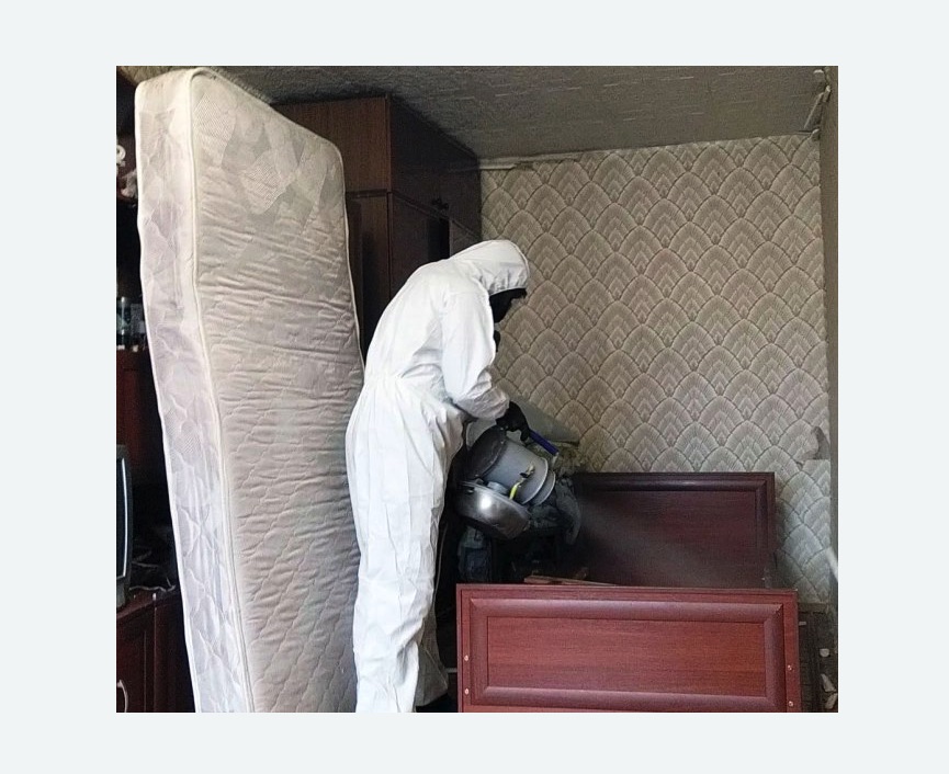 дезинфекция от клопов в Черепаново