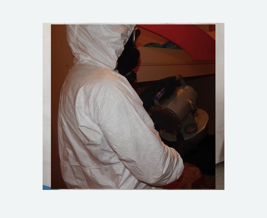 Дезинфекция от муравьев в Черепаново