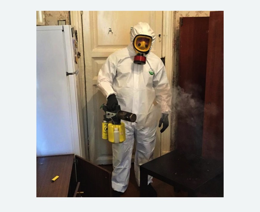 уничтожение муравьев в квартире в Черепаново